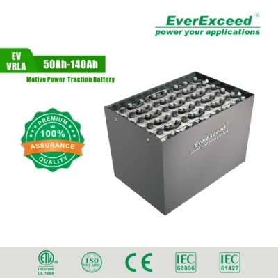 Batería de tracción inundada tubular recargable Everexceed para camión/carretilla elevadora/vehículo/energía eléctrica 2pzb/3pzb/4pzb/5pzb/6pzb/7pzb/8pzb/9pzb/10pzb/2-13pzs/Csv